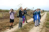 Waco Wetlands 012 